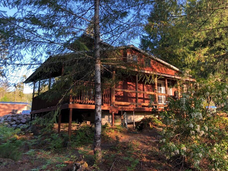 The Cabin In Packwood Eksteriør bilde